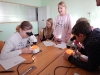 2ab Biologie: Mikroskopieren