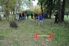 Welpenschule (Hundeschule Steinbach)
