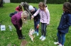 Welpenschule (Hundeschule Steinbach)