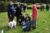 Welpenschule (Hundeschule Steinbach)