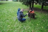 Welpenschule (Hundeschule Steinbach)