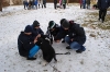 2ab Welpenschule Steinbach