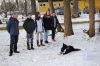 3ab Welpenschule Steinbach