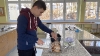 Eindrücke aus Ernährung und Haushalt