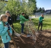 Projekt Schulgarten