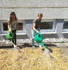 Projekt Schulgarten