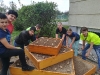 Projekt Schulgarten